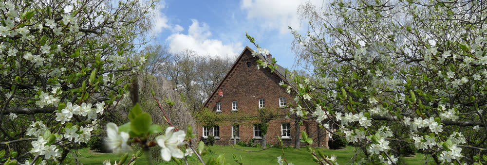Gästehof Brockum im Frühling